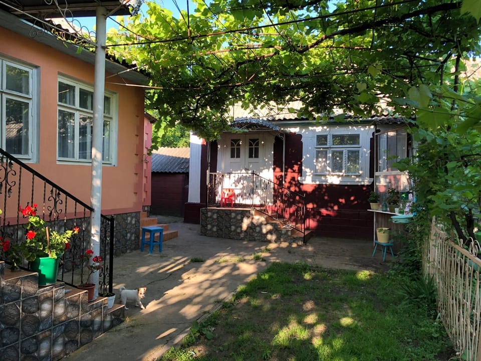 Property building, Facade/entrance, Garden