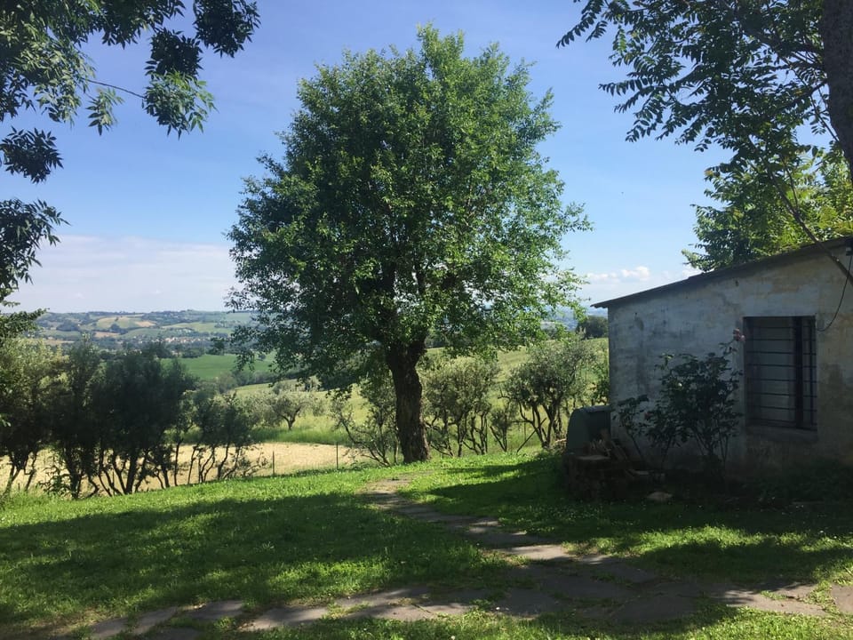 Natural landscape, Garden view