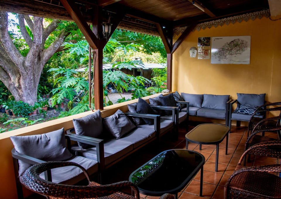 Garden view