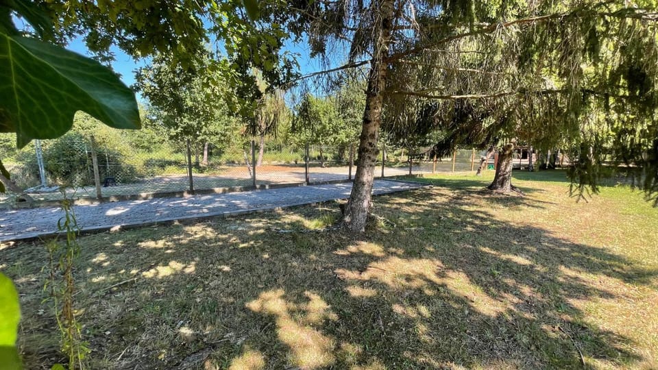 Bowling, Garden, Garden view