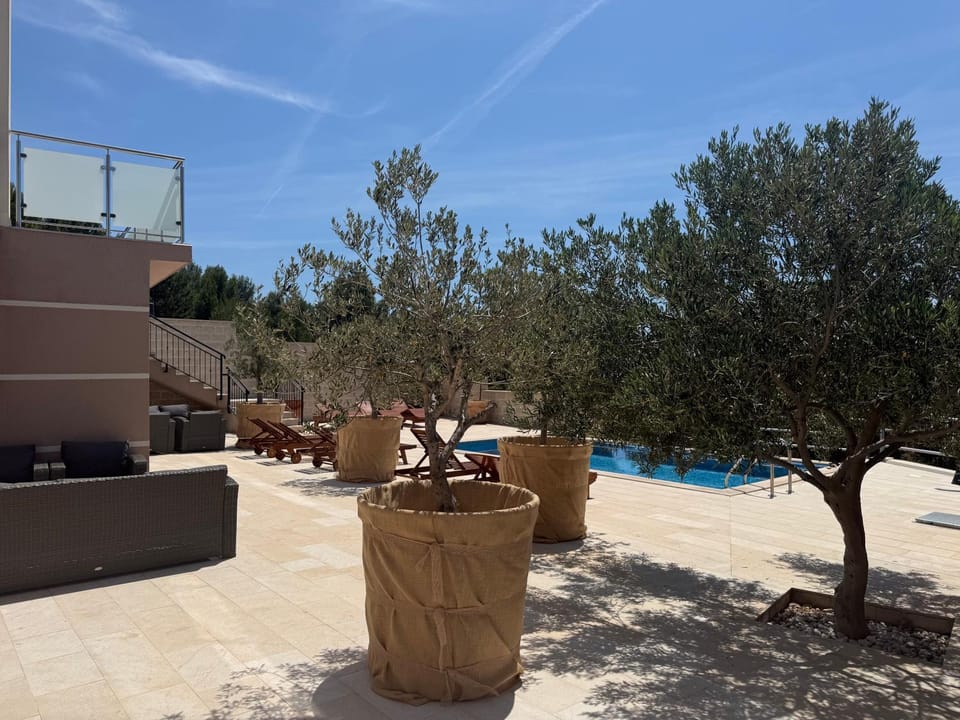 Garden, Pool view