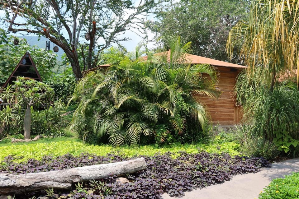 Villa Armonia Hotel & Spa Hotel in Chapala