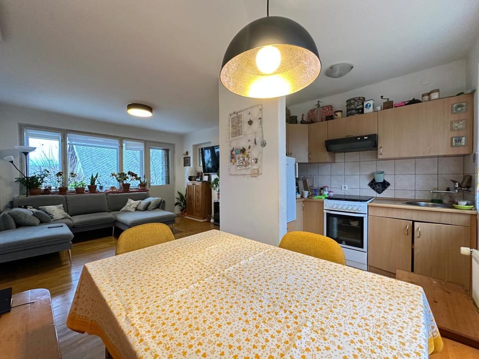 Living room, kitchen