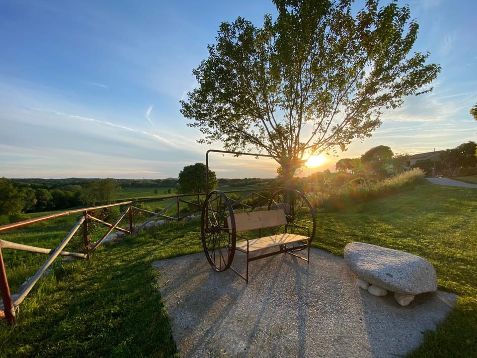 Garden, Garden view, Sunset