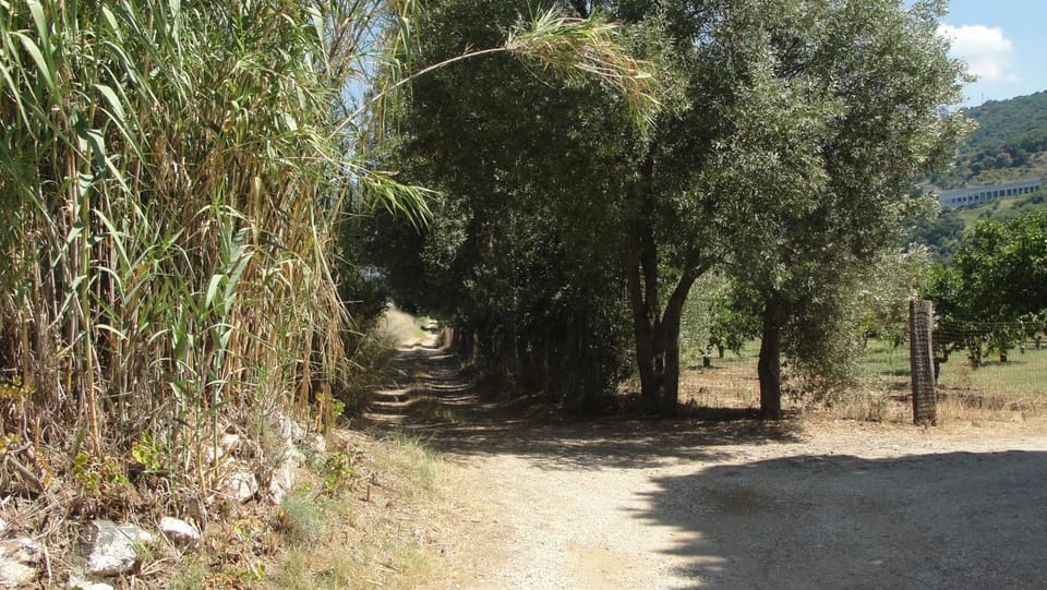 Villa Primaluce Bed and Breakfast in Pizzo