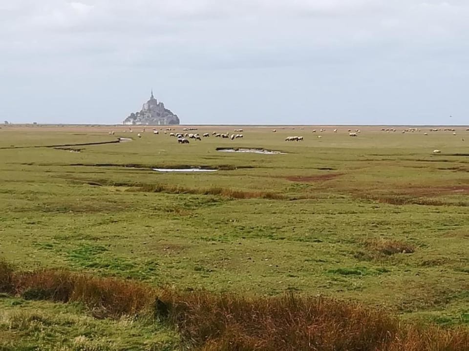 Esprit Marine Appart'Hotel Le Frenchy 3 personnes Apartment hotel in Brittany