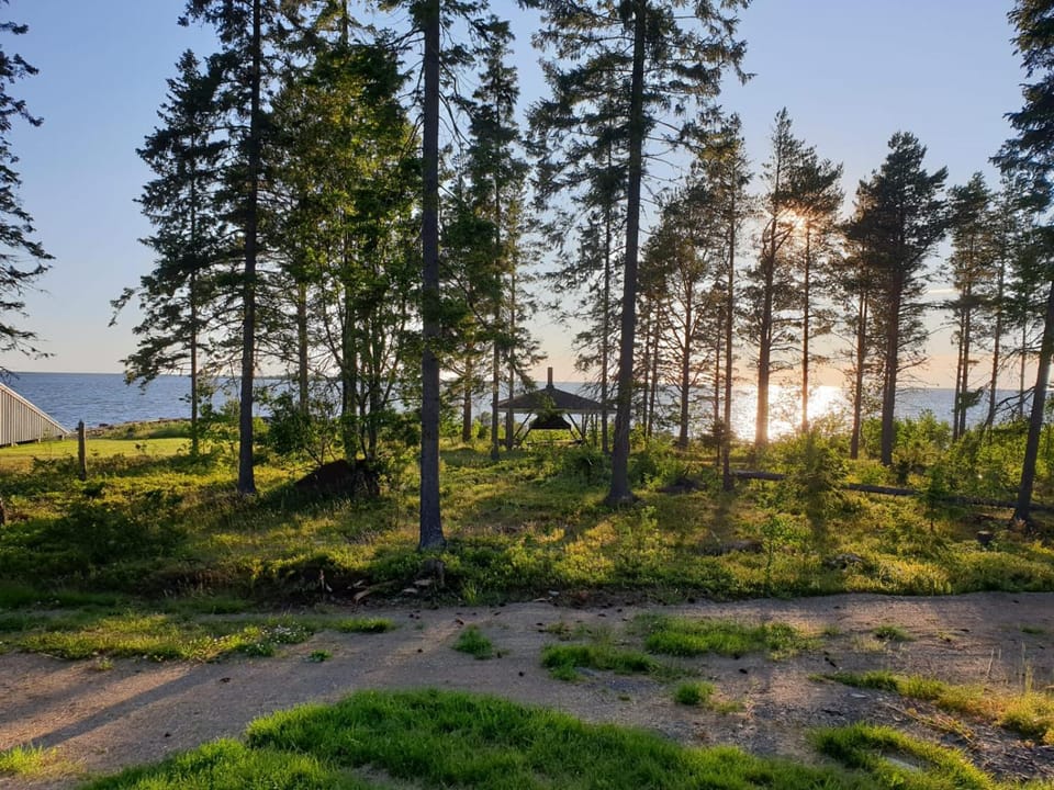 Property building, Natural landscape