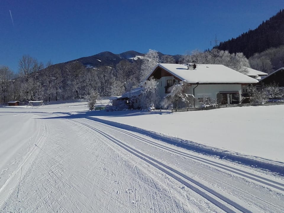 Property building, Winter