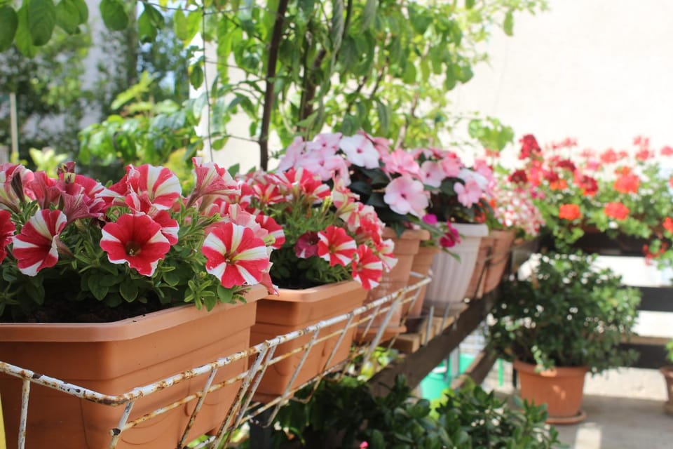 Balcony/Terrace