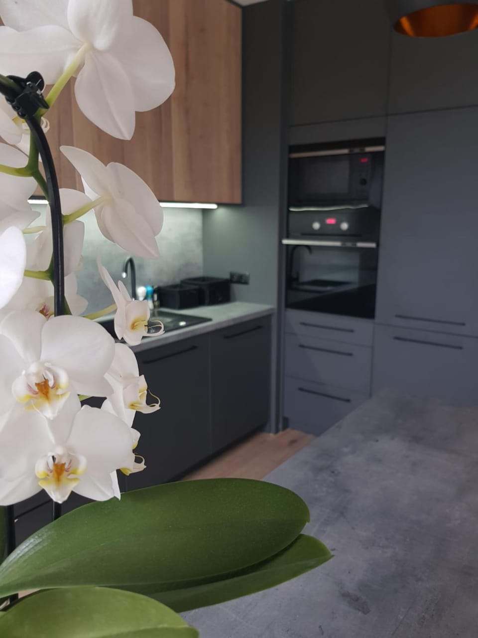 Luksusowe Apartamenty na Toruńskiej Apartment in Pomeranian Voivodeship