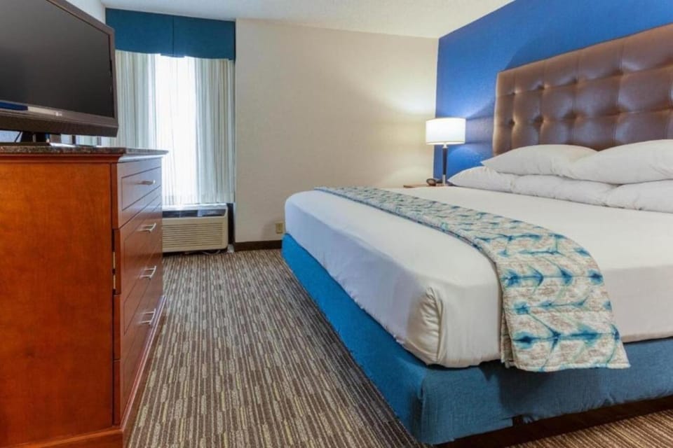 Bed, Seating area, Bedroom