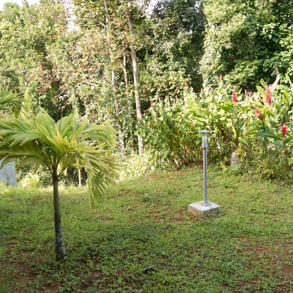 Natural landscape, Garden view