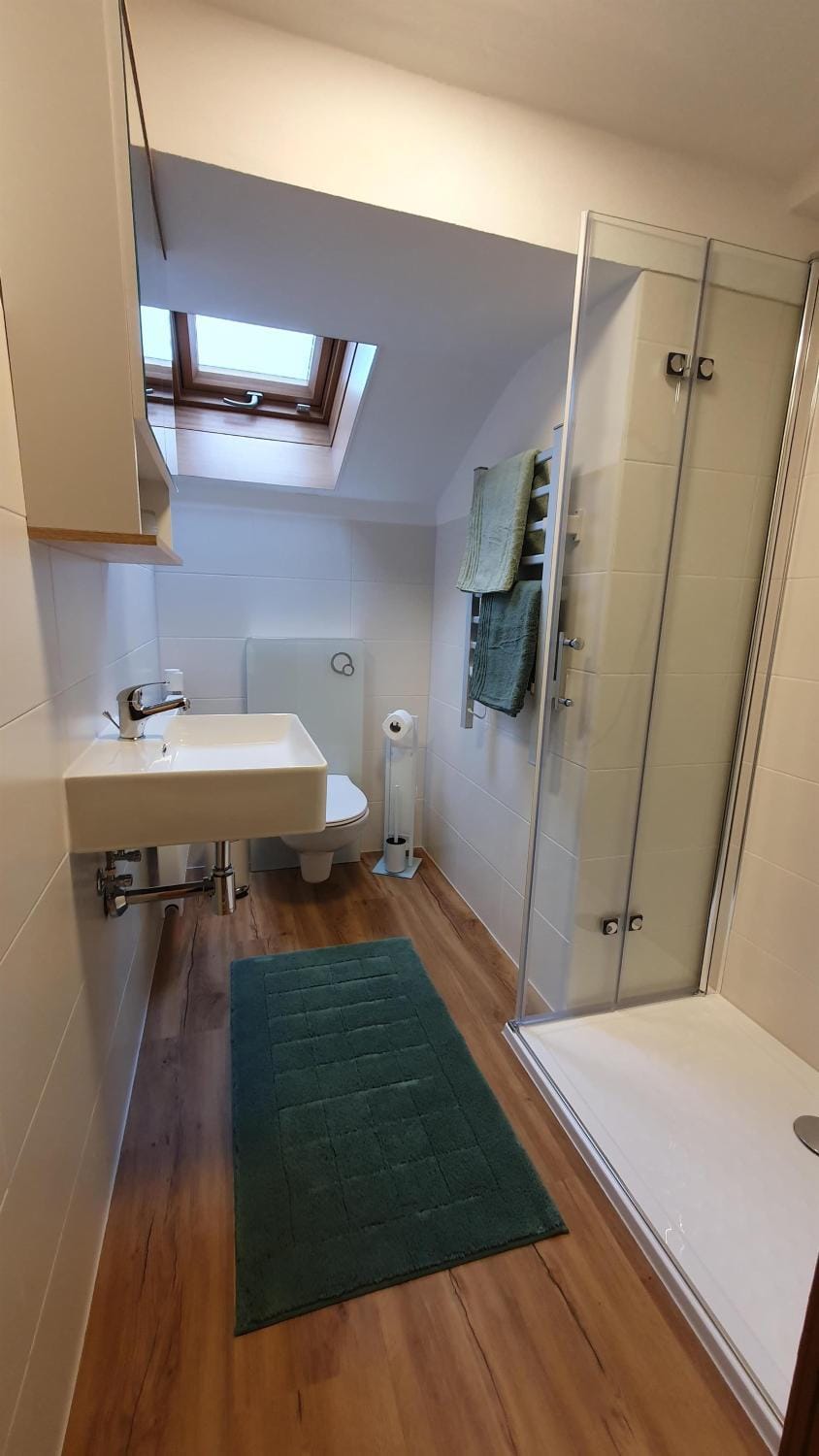 Shower, Bathroom, towels