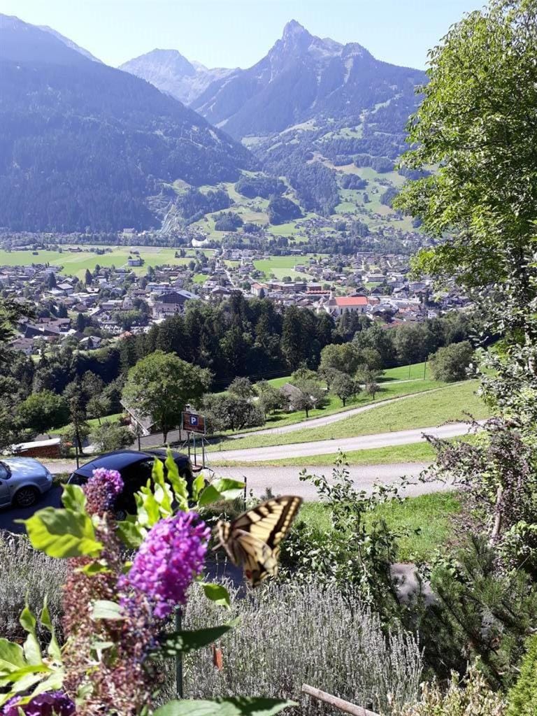 Natural landscape