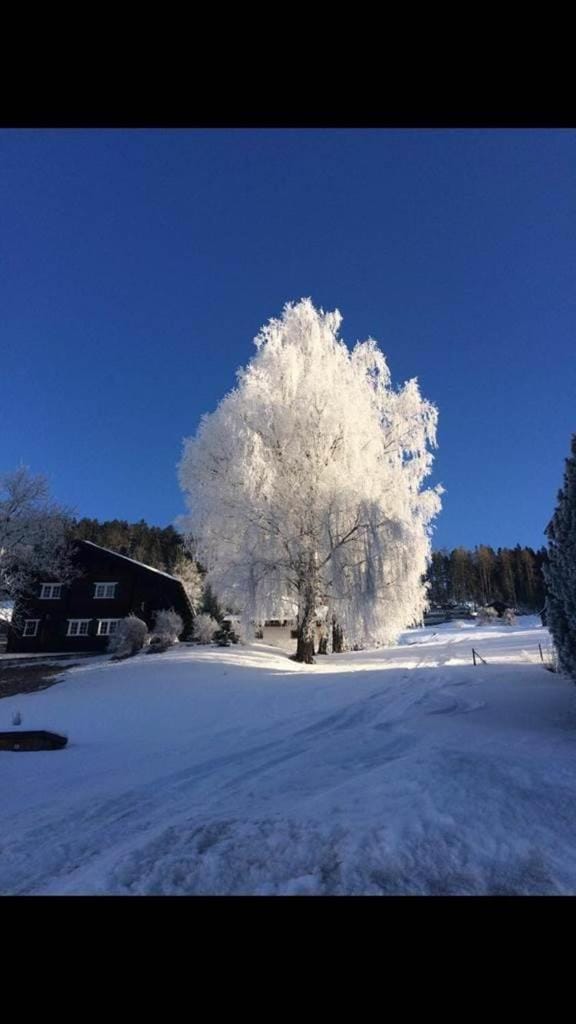 Natural landscape, Winter