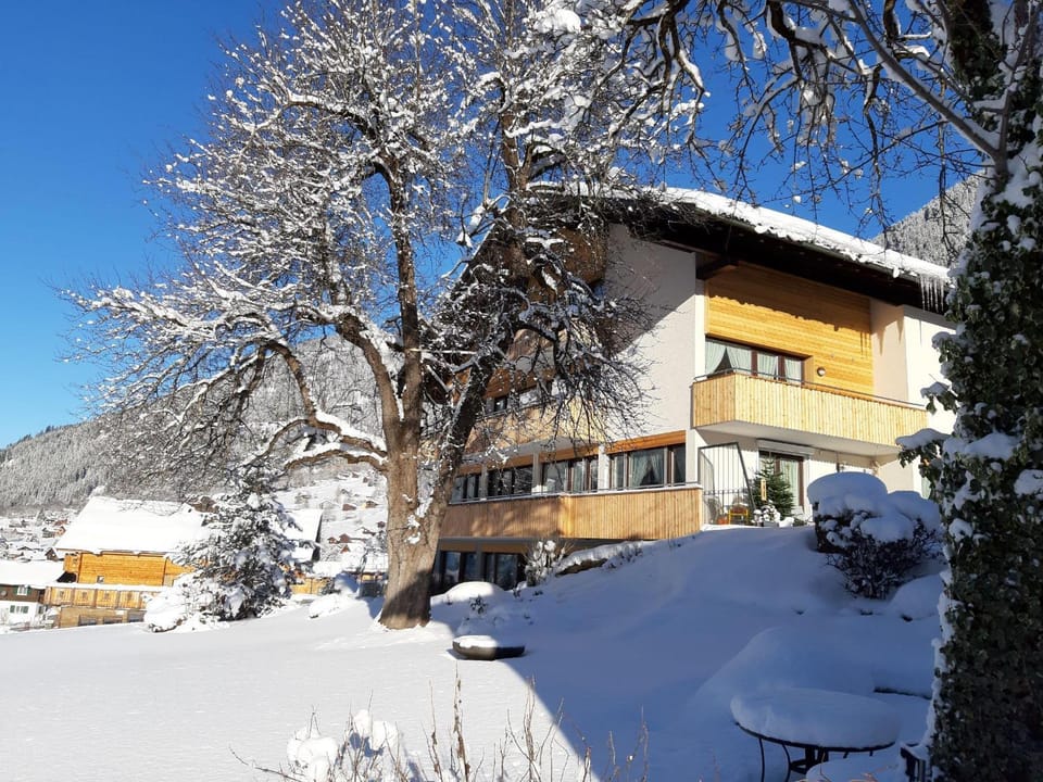 Property building, Winter