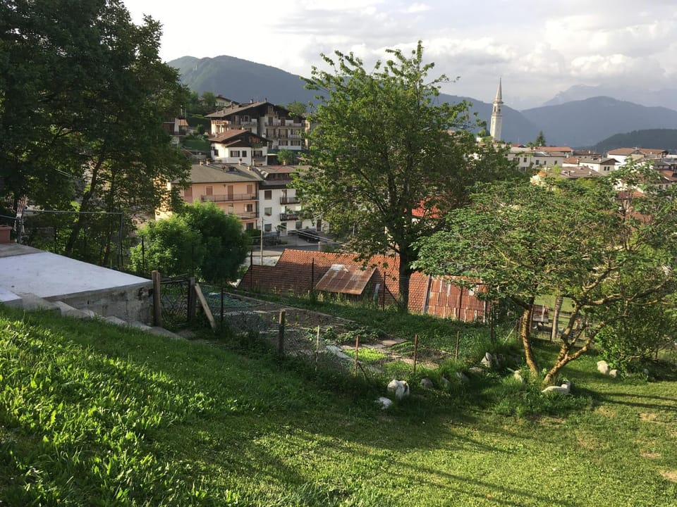 Neighbourhood, Garden, City view, Garden view, Mountain view