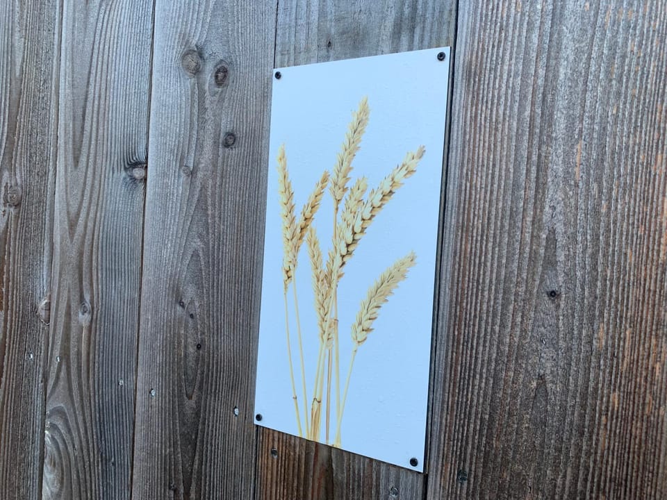 Property building, Spring, Day, Night, Winter, Summer, Decorative detail, Decorative detail, Autumn, On site, Area and facilities, Area and facilities, Seasons, Time of day, Location, Sunrise, Sunset