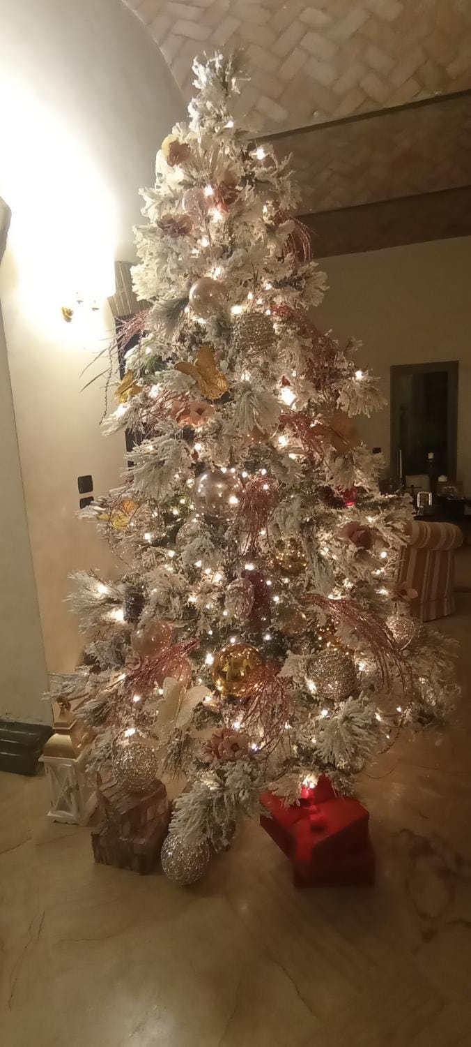 B&B Villa delle Palme Bed and Breakfast in Veneto