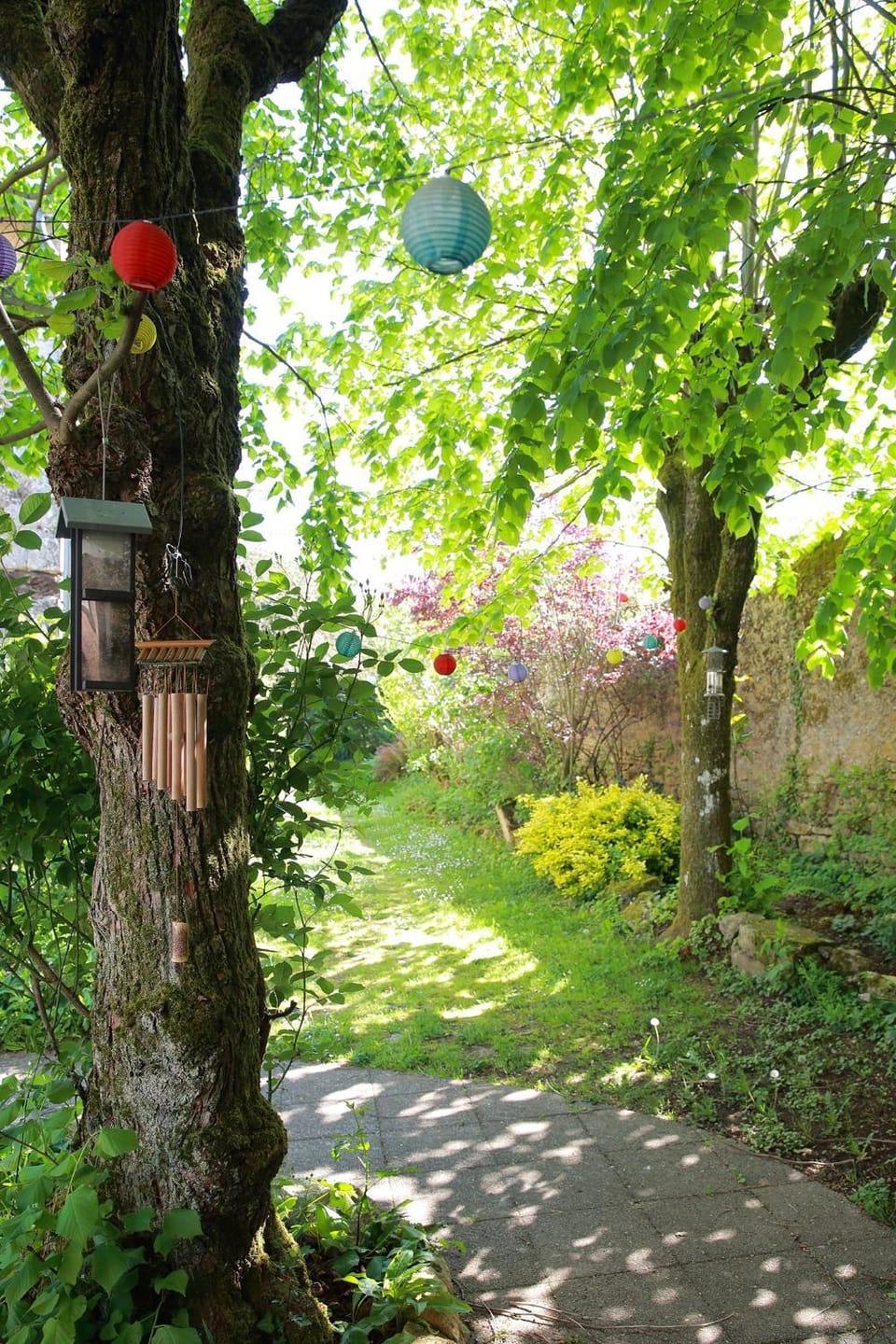Garden view