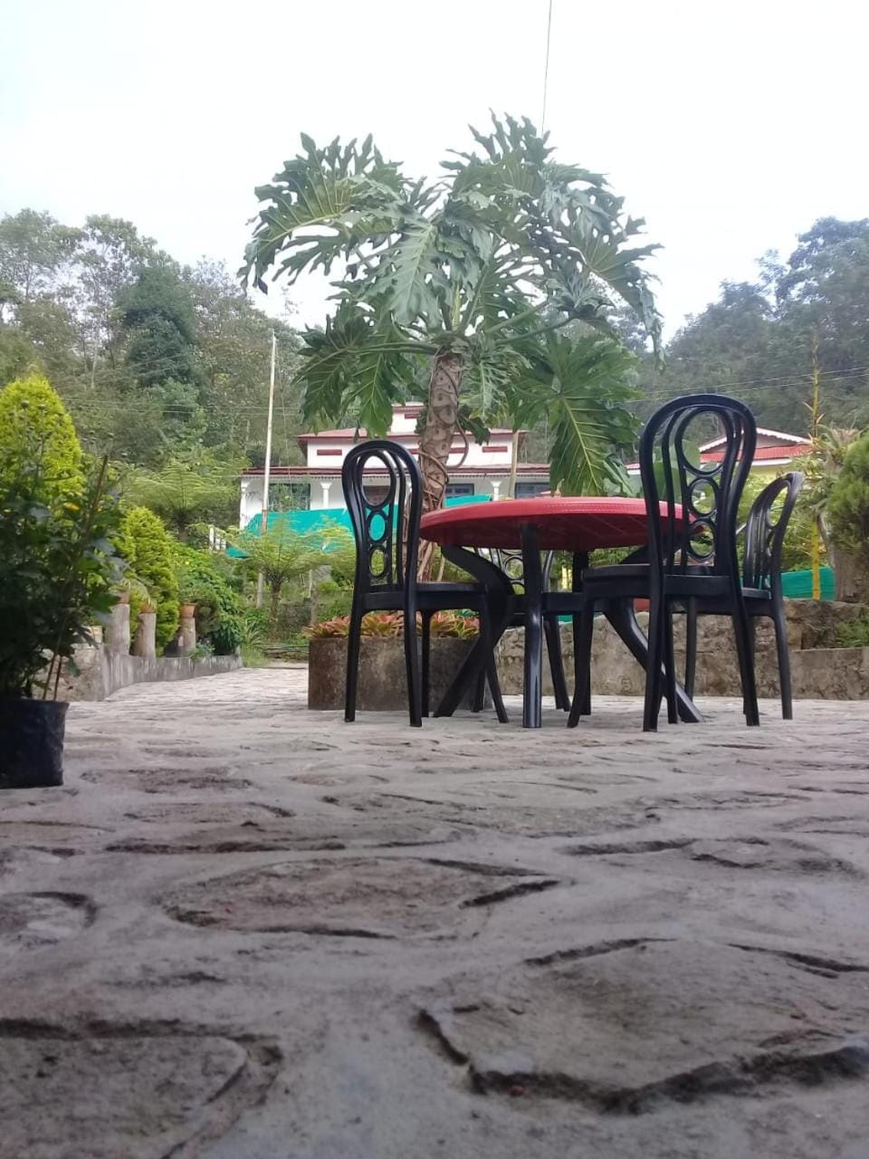 Jharna Homestay - Tabakoshi Vacation rental in West Bengal