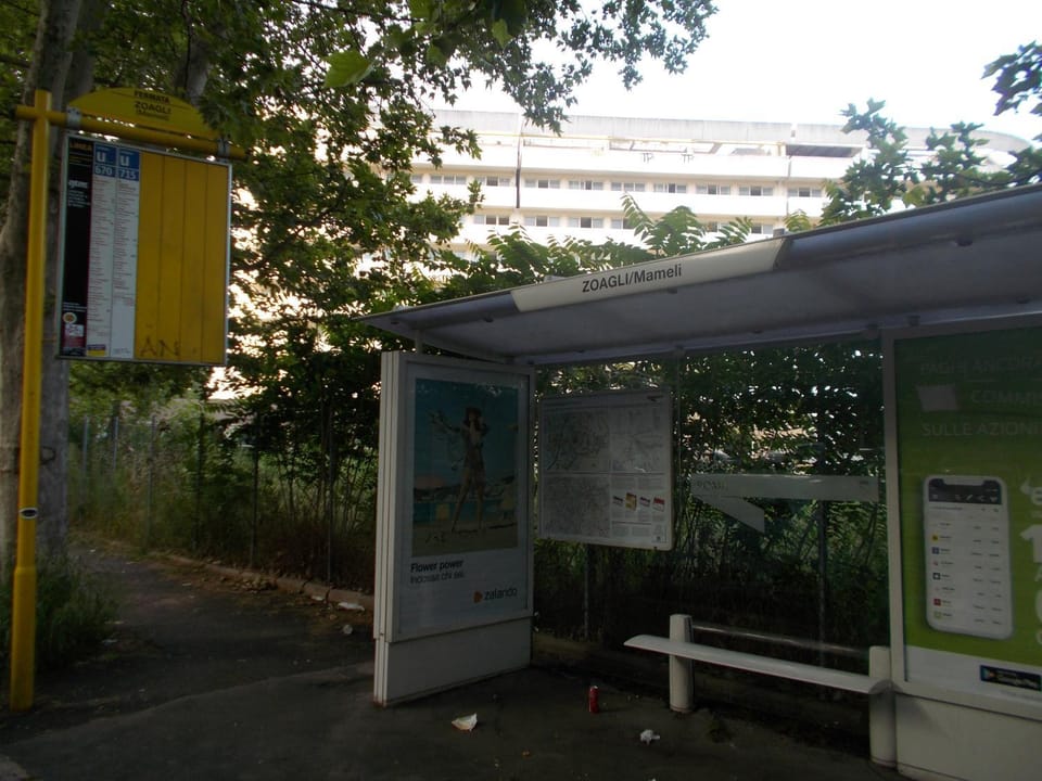 Area and facilities