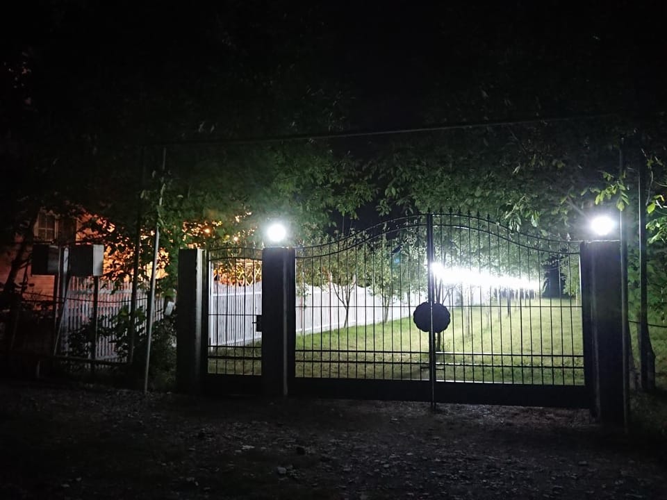 Night, Garden