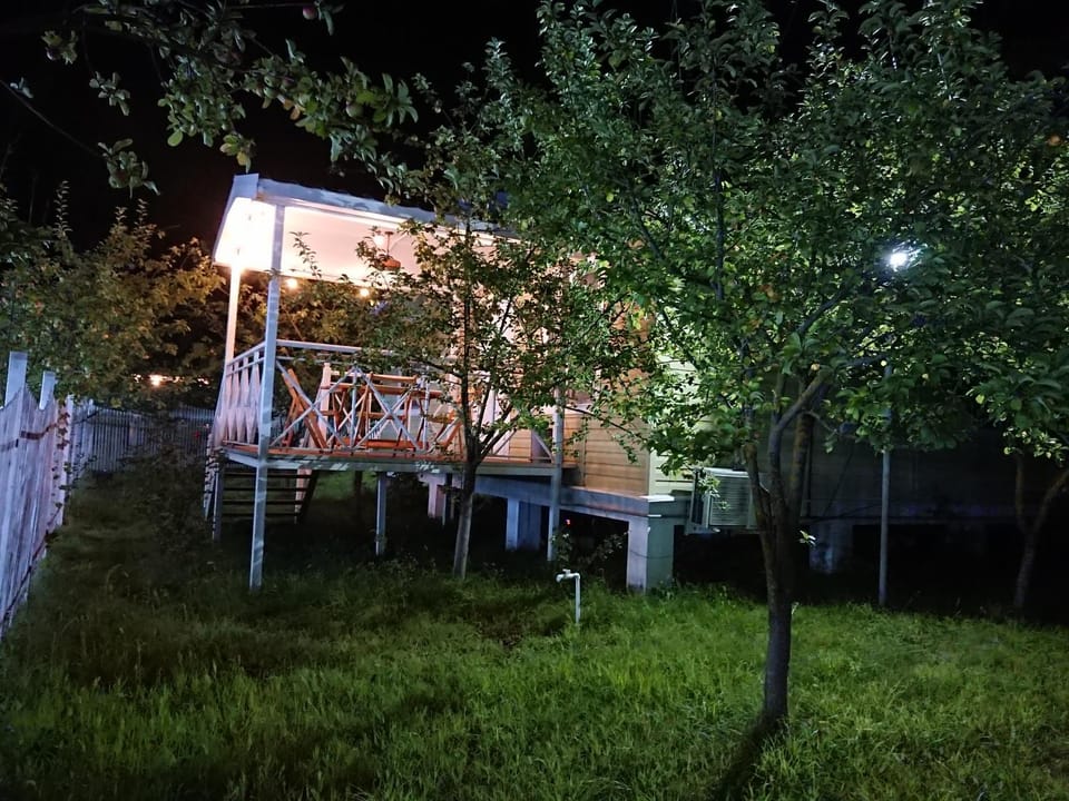 Property building, Night, Garden view