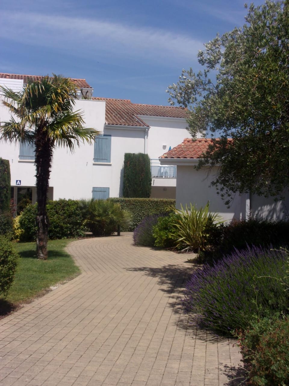 Property building, Garden