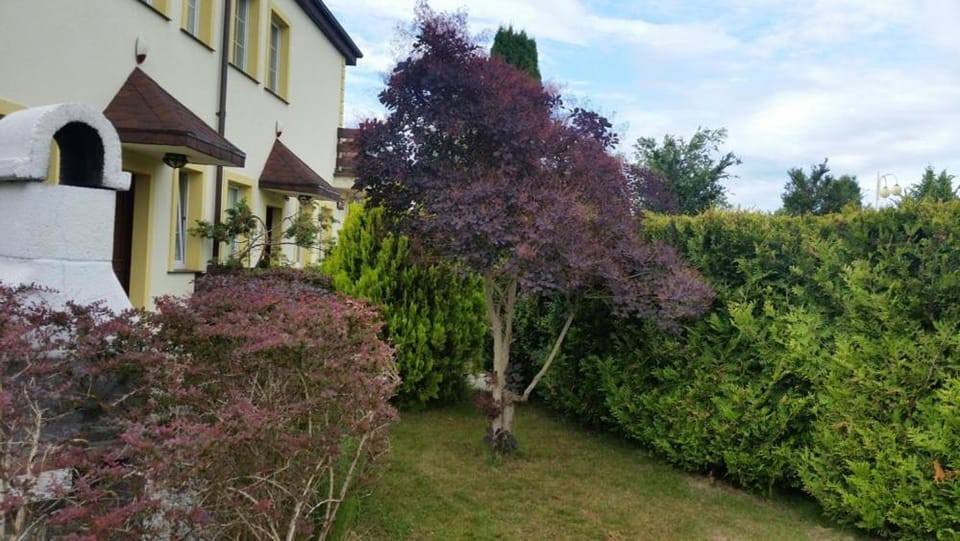 Apartament II House in Pomeranian Voivodeship