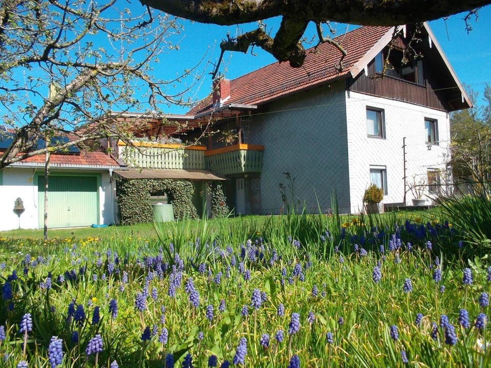 Zeiler Peter und Luisie Apartment in Berchtesgadener Land