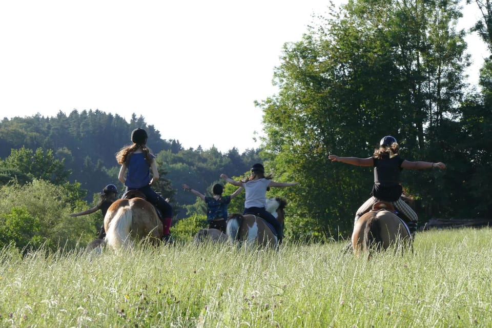 Ferienhof Mühlthal Farm Stay in Bavaria