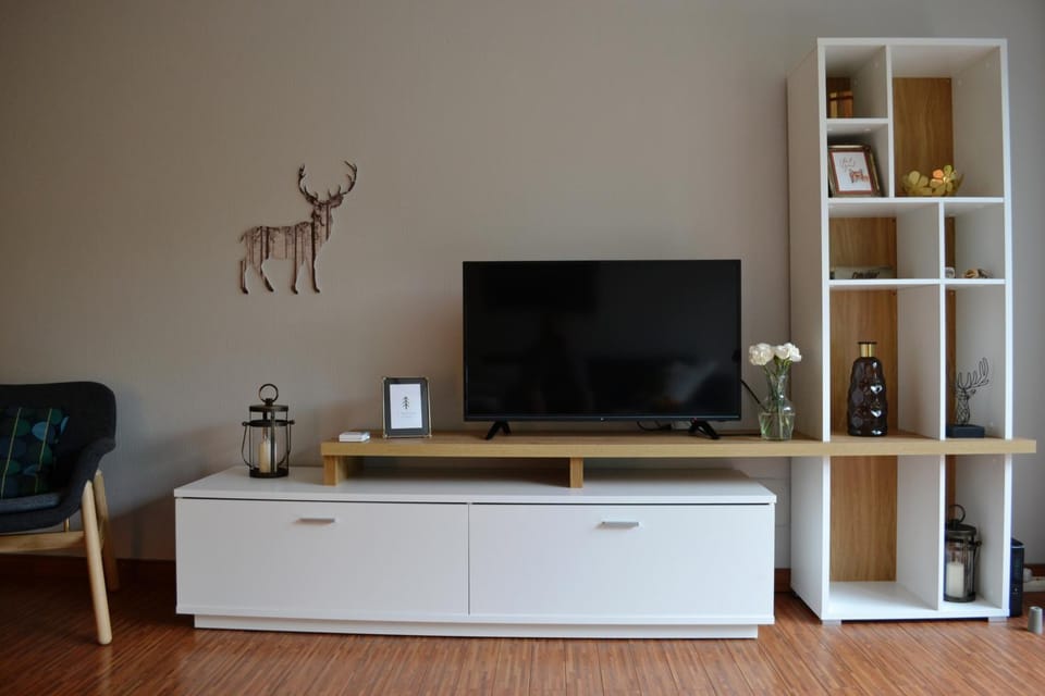 TV and multimedia