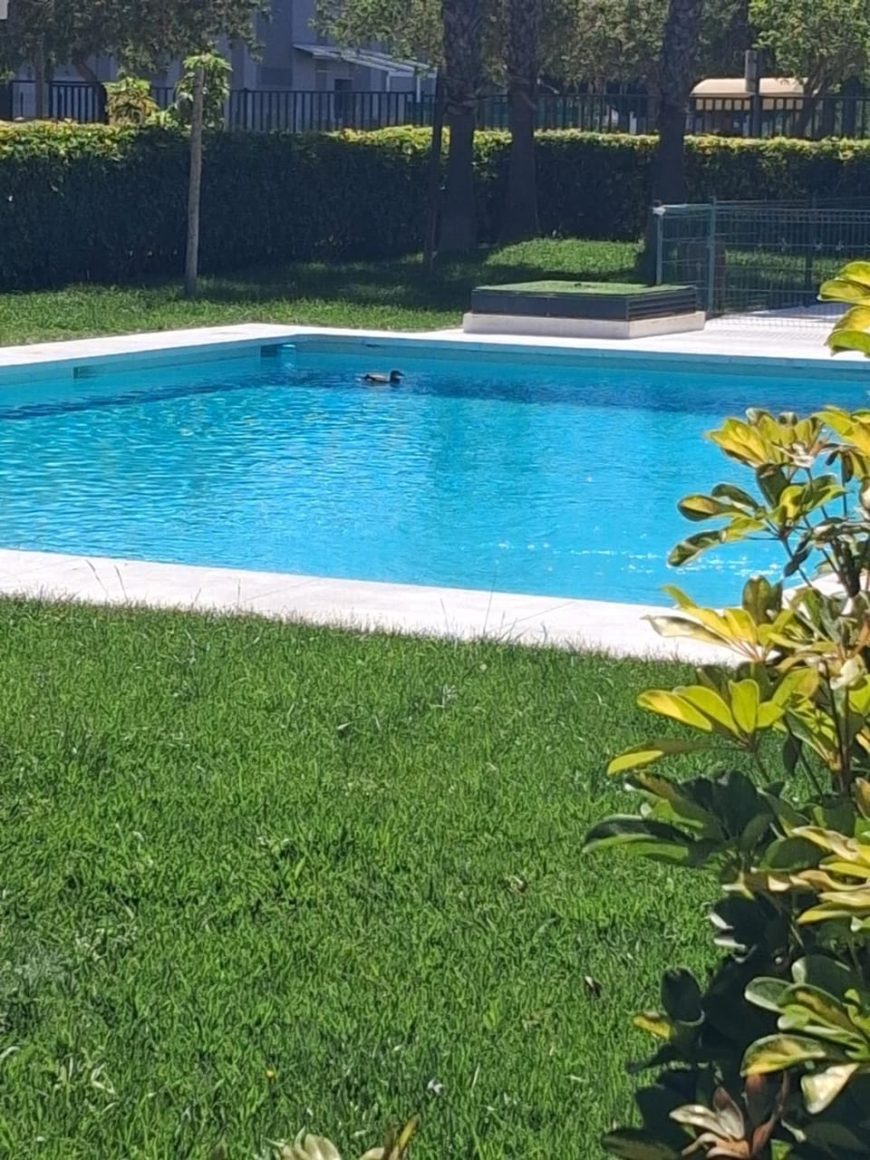 Atalaya del Mar Apartment in Torre del Mar