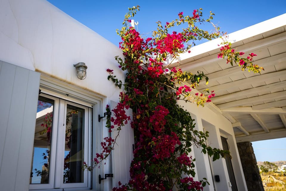 Villa Artemis (Agios Lazaros, Psarou) Villa in Mykonos, Mikonos 846 00, Greece