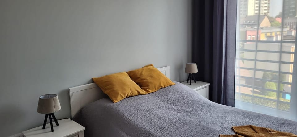 Apartament Przejazdowa Apartment in Czechia