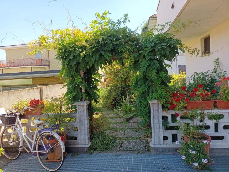 Property building, Day, Garden, Cycling, Garden view