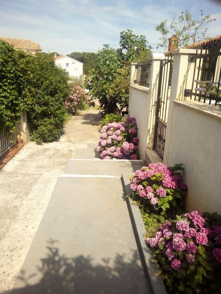 Apartman Vida House in Pula
