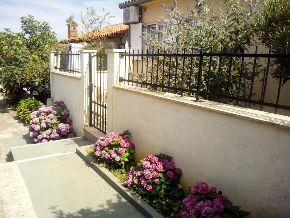 Apartman Vida House in Pula