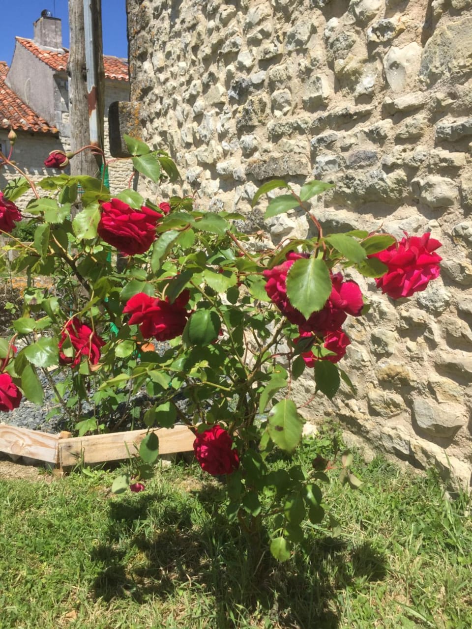 GITE DES CHOUETTES House in Nouvelle-Aquitaine