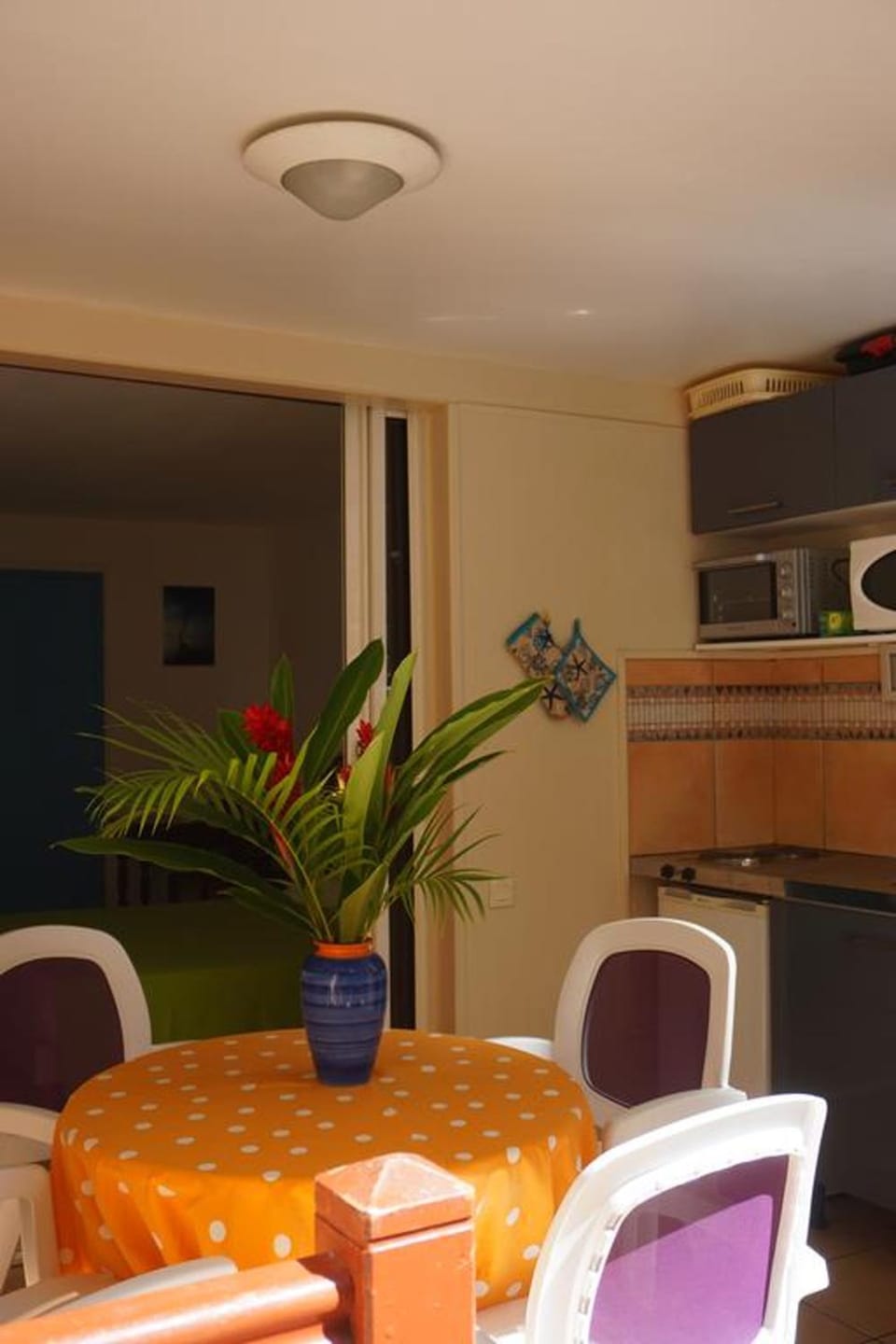 Appartement cosy à Sainte-Anne - 30 m² avec piscine privée Apartment in Sainte-Anne