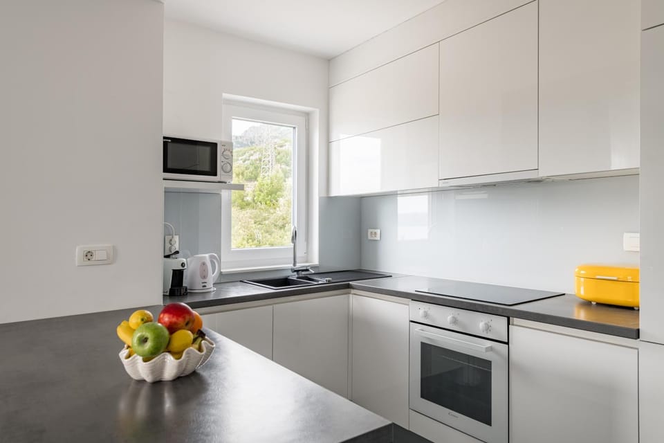 Kitchen or kitchenette, dishwasher, minibar, oven, stove