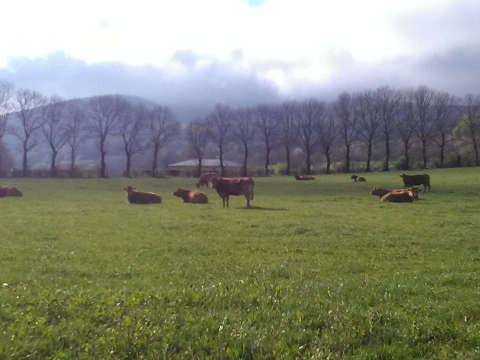 Natural landscape, Other