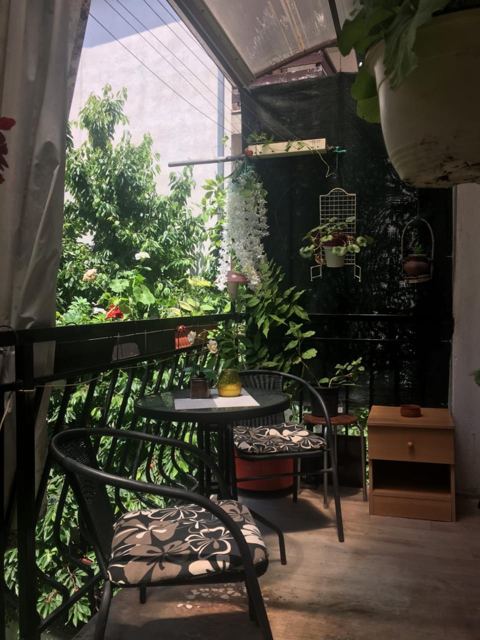 Garden view
