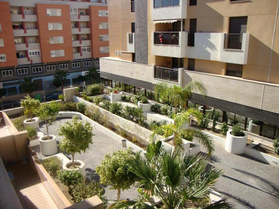 Patio, Garden view