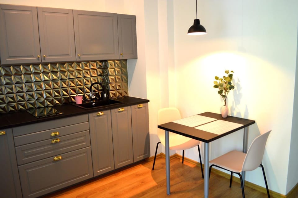 Apartament przy Parku Apartment in Lower Silesian Voivodeship