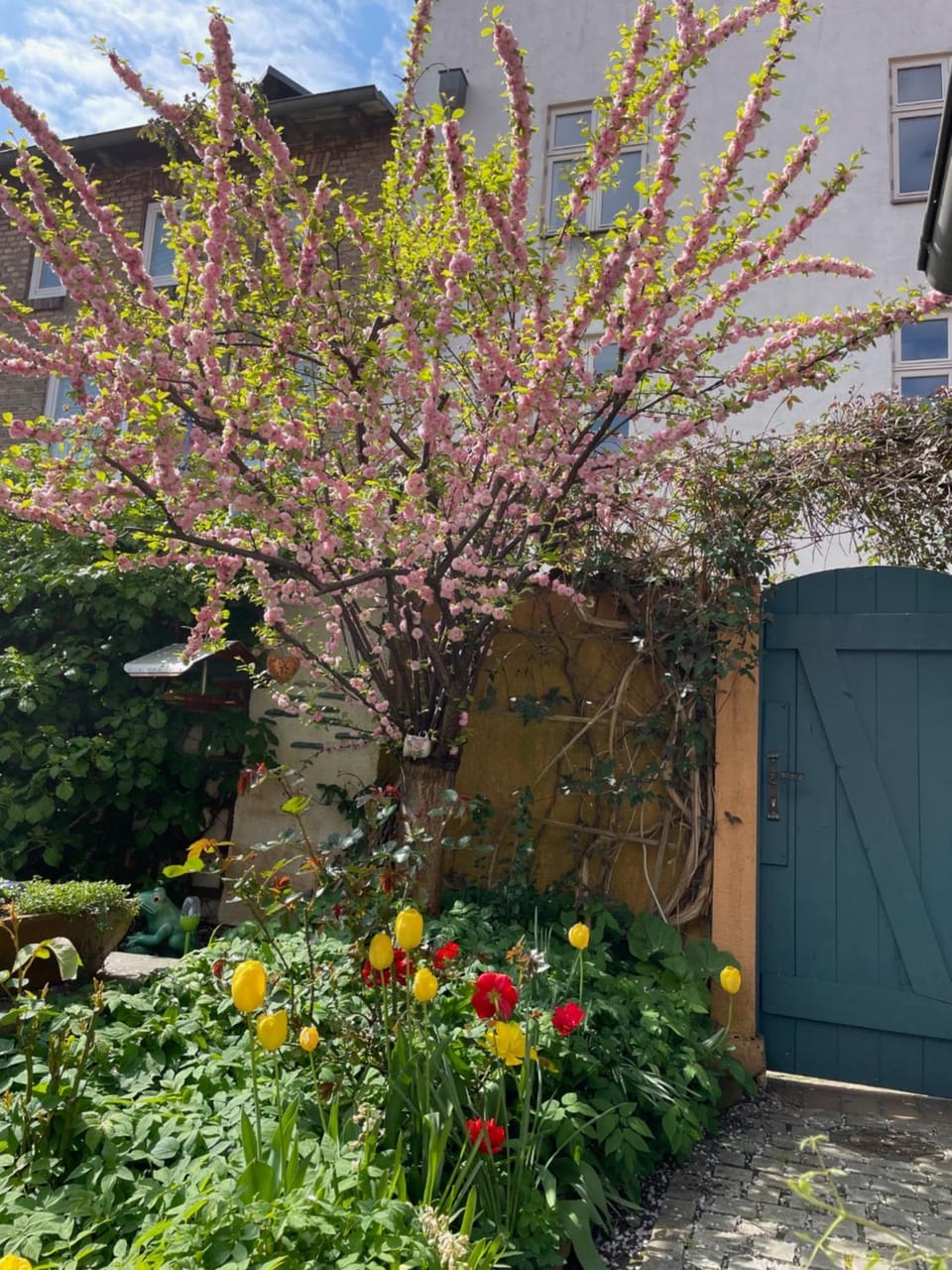 Garden view