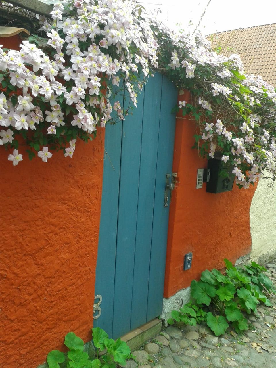 Facade/entrance