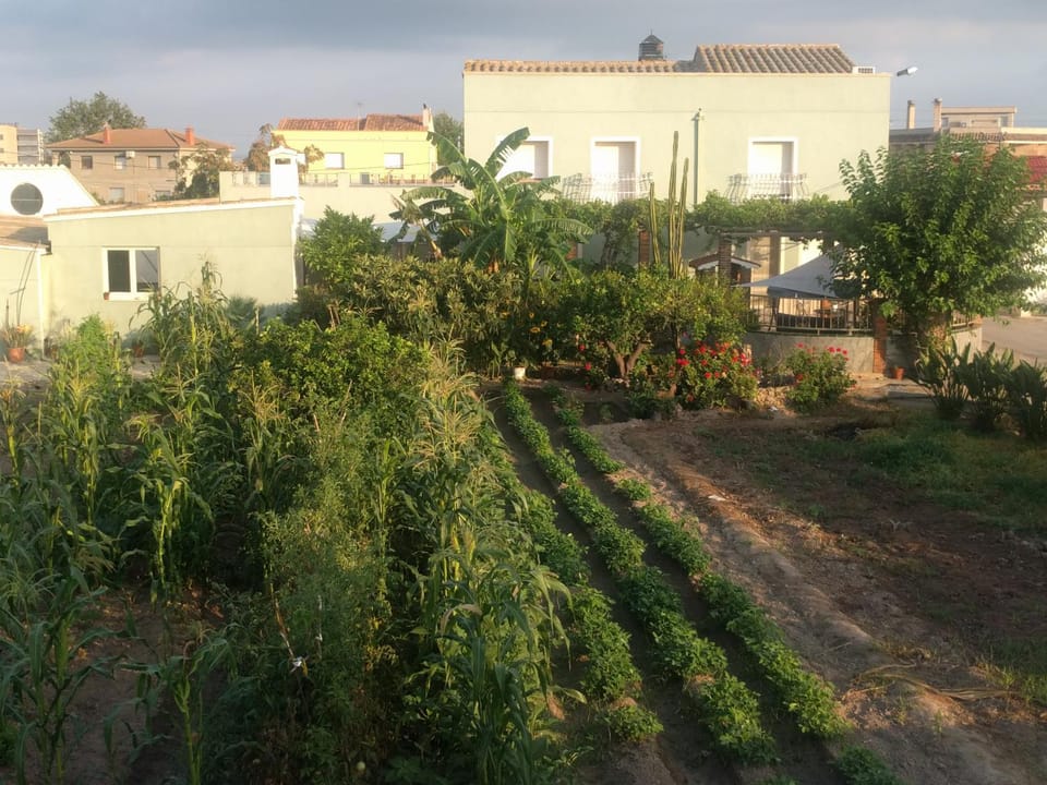 Casa Baleso House in Montsià