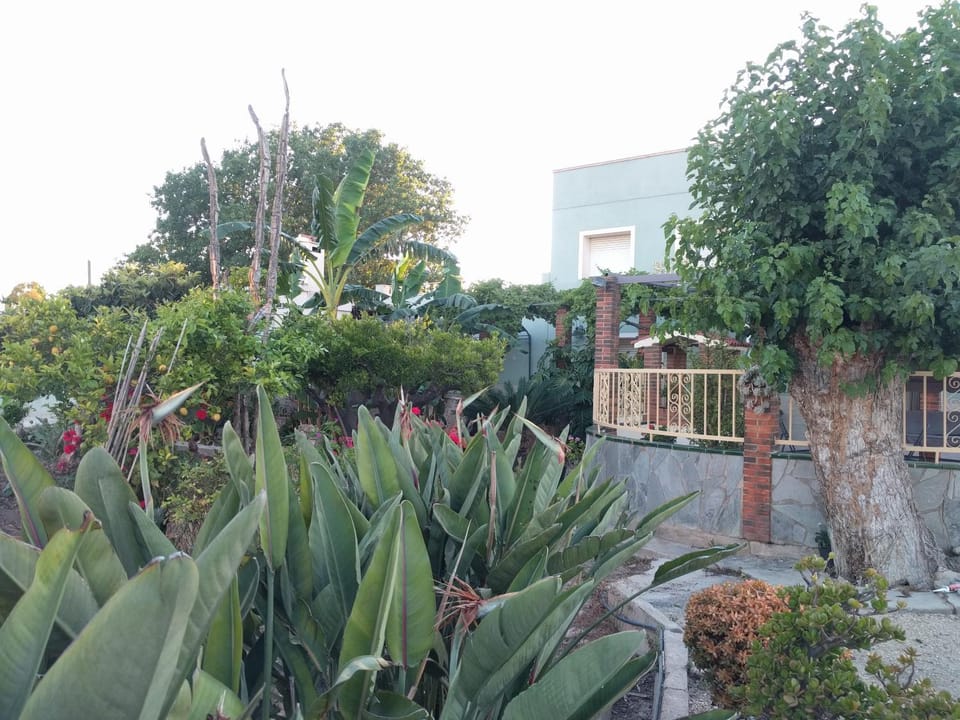 Casa Baleso House in Montsià